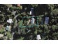 65A Erua Road, Ostend, Waiheke Island - Carousel 1