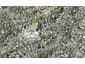 10C Agathis Avenue, Mairangi Bay, Auckland - Carousel 1