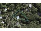 87 Fairview Crescent, Omiha, Waiheke Island - Carousel 1