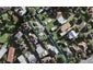 77 Owairaka Avenue, Mount Albert, Auckland - Carousel 1
