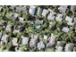 55F Drake Street, Howick, Auckland - Carousel 1
