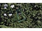 41A Te Aroha Avenue, Oneroa, Waiheke Island - Carousel 1