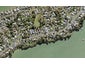 48 Ferry Parade, Herald Island, Auckland - Carousel 1