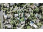 5 Jayne Place, Torbay, Auckland - Carousel 1