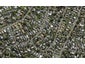 43 Bell Road, Remuera, Auckland - Carousel 1