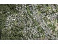 20 Autumn Avenue, Glen Eden, Auckland - Carousel 1