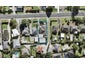 33 Waipani Road, Te Atatu Peninsula, Auckland - Carousel 1