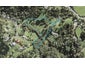 1164A East Coast Road, Albany - Carousel 1