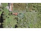48 Yozin Road, Swanson, Auckland - Carousel 1