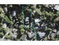 16 Newstead Avenue, Browns Bay, Auckland - Carousel 1