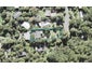 25 Ocean View Road, Huia, Auckland - Carousel 1