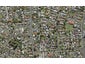 6 Ara Rewarewa, Papatoetoe, Auckland - Carousel 1