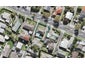 54 Rimu Street, New Lynn, Auckland - Carousel 1