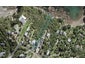 47 Queens Drive, Oneroa, Waiheke Island - Carousel 1