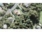 282 Forest Hill Road, Waiatarua, Auckland - Carousel 1