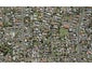 27B Margaret Road, Papatoetoe, Auckland - Carousel 1