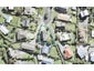 24 Arohia Place, Snells Beach, Snells Beach - Carousel 1