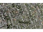 17 Tomlinson Street, Hillpark, Auckland - Carousel 1
