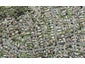 14A Pokapu Street, Titirangi, Auckland - Carousel 1