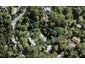 35 Paturoa Road, Titirangi, Auckland - Carousel 1