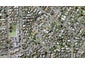 61 Maskell Street, St Heliers, Auckland - Carousel 1
