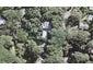 84 Garden Road, Piha, Piha - Carousel 1