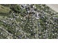 10 Weka Road, Oneroa, Waiheke Island - Carousel 1