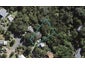 37 Victoria Road South, Onetangi, Waiheke Island - Carousel 1
