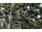 25 Palm Road, Palm Beach, Waiheke Island - Carousel 1