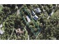 29 Chatham Avenue, Paremoremo, Auckland - Carousel 1