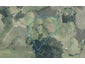 618 Pataua South Road, Onerahi - Carousel 1