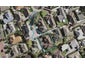 15 Nakhle Place, Manurewa, Auckland - Carousel 1