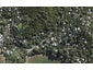 19 Glen Brook Road, Omiha, Waiheke Island - Carousel 1