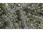 606 Glenfield Road, Bayview, Auckland - Carousel 1
