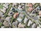 1/17 Casabella Court, Northpark, Auckland - Carousel 1