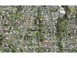3A Levy Road, Glen Eden, Auckland - Carousel 1