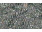 81 Glenpark Avenue, Mornington, Dunedin - Carousel 1