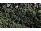 15 Te Aroha Avenue, Oneroa, Waiheke Island - Carousel 1