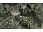 44 Great Barrier Road, Oneroa, Waiheke Island - Carousel 1