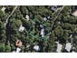 19 Fairview Crescent, Omiha, Waiheke Island - Carousel 1