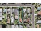 25 Tane Street, New Lynn, Auckland - Carousel 1