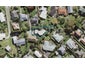 16A Alton Avenue, Hillcrest, Auckland - Carousel 1