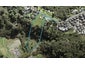 35 Quail Drive, Albany Heights, Auckland - Carousel 1