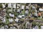 36A Alfred Street, Northcote Point, Auckland - Carousel 1