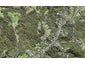 1119A Scenic Drive North, Swanson, Auckland - Carousel 1