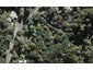 34 Kauri Road, Birkenhead, Auckland - Carousel 1