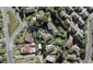 65 Cedar Heights Avenue, Massey, Auckland - Carousel 1