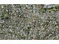 5 Beechdale Crescent, Pakuranga Heights, Auckland - Carousel 1