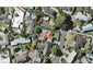 20 Roadley Avenue, Sunnyhills, Auckland - Carousel 1