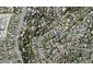 83A Langana Avenue, Browns Bay, Auckland - Carousel 1